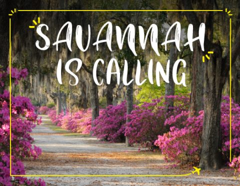 Jackson Direct Flight Map Fly Nonstop from Atlanta to Savannah - Savannah Airport